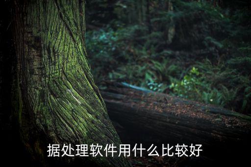 做大數(shù)據(jù)的用什么軟件,數(shù)據(jù)標(biāo)注用什么軟件?
