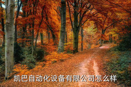 松江區(qū)自動化包裝材料公司,上海自動包裝設(shè)備