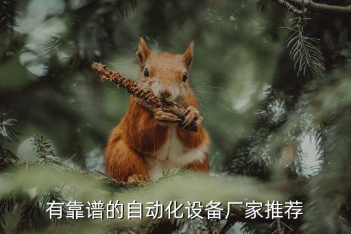 有靠譜的自動化設(shè)備廠家推薦