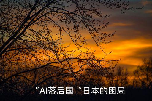 人工智能機(jī)器人 日本,日本是人工智能機(jī)器人進(jìn)展最大的國家