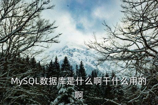 MySQL數(shù)據(jù)庫是什么啊干什么用的啊