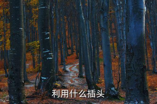 歐洲插頭,瑞士的插頭和歐洲的一樣嗎?