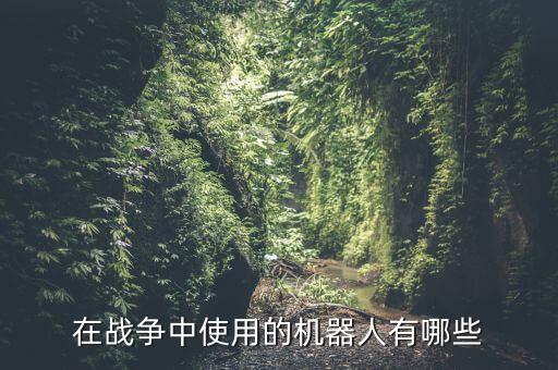 世界上的小戰(zhàn)斗機(jī)器人,小型戰(zhàn)斗機(jī)器人
