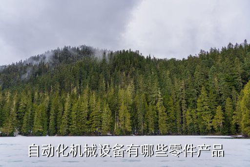 四川非標(biāo)自動(dòng)化設(shè)備,非標(biāo)準(zhǔn)自動(dòng)化設(shè)備的設(shè)計(jì)