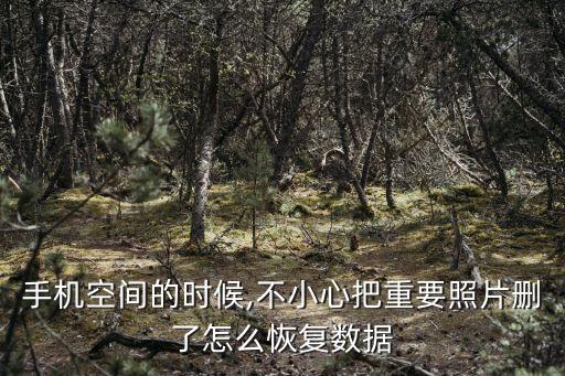 手機空間的時候,不小心把重要照片刪了怎么恢復數(shù)據(jù)