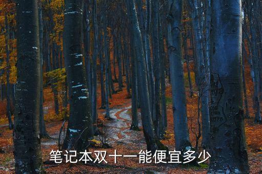 筆記本雙十一能便宜多少
