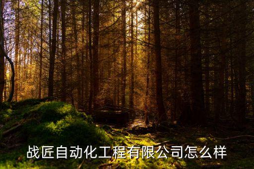 匠新倫自動(dòng)化設(shè)備,大疆自動(dòng)化設(shè)備有限公司
