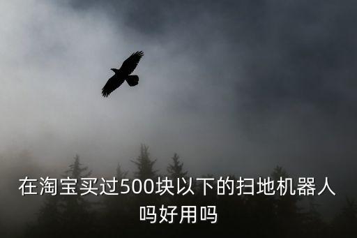 在淘寶買過500塊以下的掃地機器人嗎好用嗎