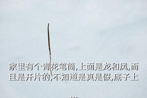 家里有個青花筆筒,上面是龍和鳳,而且是開片的,不知道是真是假,底子上...