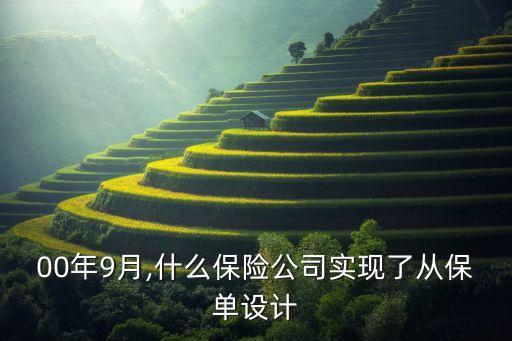 保險(xiǎn)公司自動(dòng)化系統(tǒng),關(guān)于保險(xiǎn)公司數(shù)字化的思考