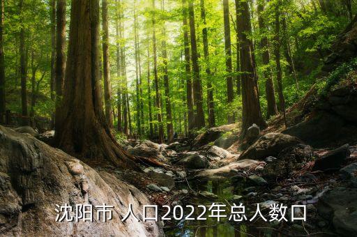  沈陽市 人口2022年總?cè)藬?shù)口