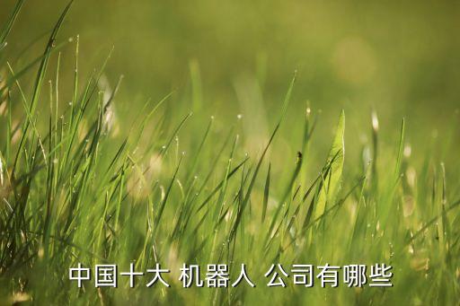中國十大 機(jī)器人 公司有哪些