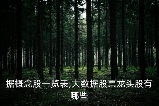據(jù)概念股一覽表,大數(shù)據(jù)股票龍頭股有哪些