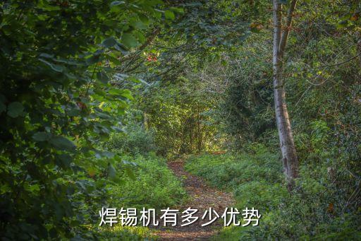 湖北快速焊錫機(jī)自動化設(shè)備,江蘇自動焊錫機(jī)