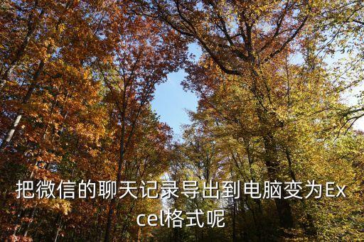 把微信的聊天記錄導(dǎo)出到電腦變?yōu)镋xcel格式呢