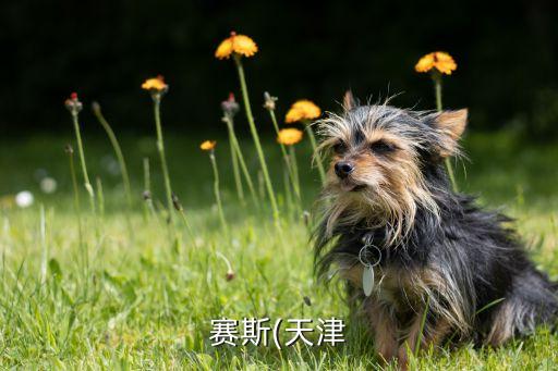 鹽城奧特電氣自動化,南京汽車自動化