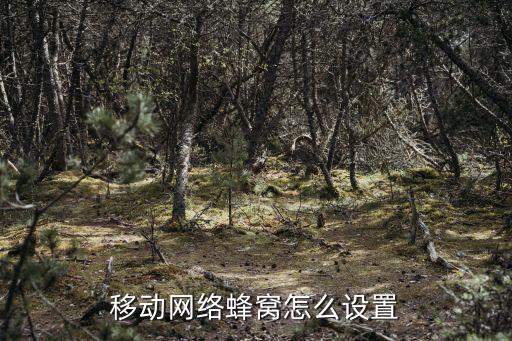 ios8.3蜂窩數(shù)據(jù)設(shè)置,如何設(shè)置蜂窩數(shù)據(jù)?