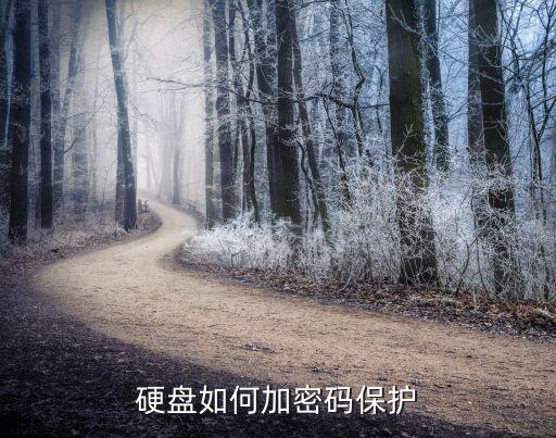 硬盤數(shù)據(jù)保護(hù)技術(shù),如何保護(hù)移動(dòng)硬盤的數(shù)據(jù)?