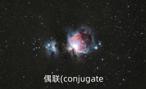 偶聯(lián)(conjugate