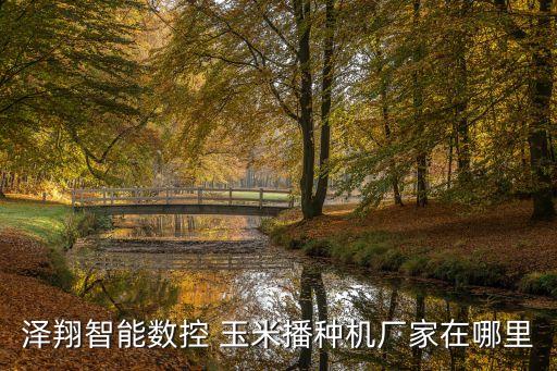 澤翔智能數(shù)控 玉米播種機(jī)廠家在哪里