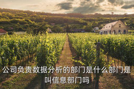 公司負責(zé)數(shù)據(jù)分析的部門是什么部門是叫信息部門嗎