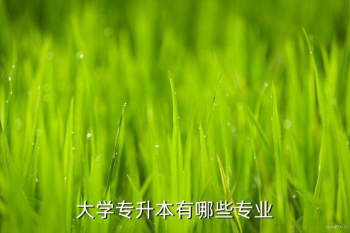 大學(xué)專(zhuān)升本有哪些專(zhuān)業(yè)