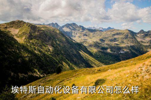 安徽自動(dòng)化電機(jī)公司,自動(dòng)電機(jī)類型