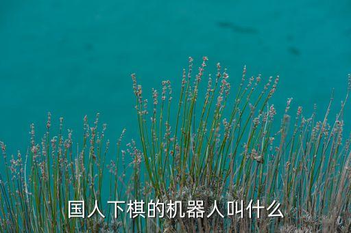 國(guó)人下棋的機(jī)器人叫什么