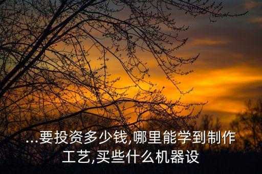 ...要投資多少錢,哪里能學到制作工藝,買些什么機器設