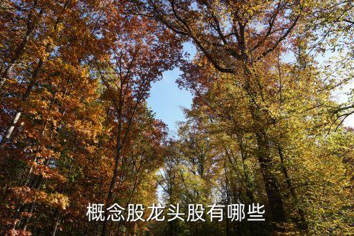 5g大數(shù)據(jù)概念股龍頭,大數(shù)據(jù)概念股龍頭股