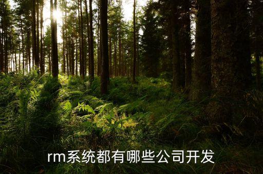 rm系統(tǒng)都有哪些公司開發(fā)