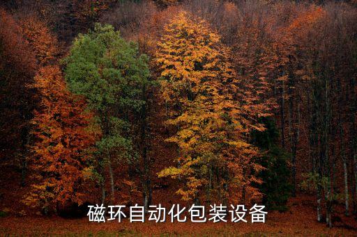 電感磁環(huán)自動化包裝設(shè)備