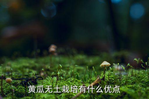 種瓜自動(dòng)化設(shè)備,自動(dòng)配料系統(tǒng)種類(lèi)有哪些?