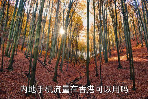 內(nèi)地手機(jī)流量在香港可以用嗎