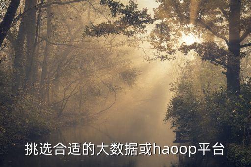 pivotal 大數(shù)據(jù),大數(shù)據(jù)豬