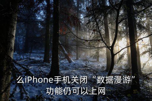 么iPhone手機(jī)關(guān)閉“數(shù)據(jù)漫游”功能仍可以上網(wǎng)