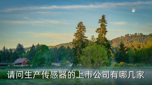 請(qǐng)問生產(chǎn)傳感器的上市公司有哪幾家