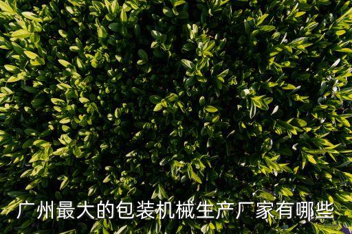 廣州最大的包裝機(jī)械生產(chǎn)廠家有哪些