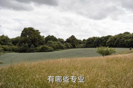有哪些專業(yè)