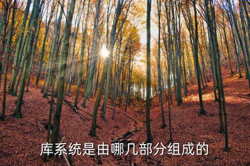操作系統(tǒng)和數(shù)據(jù)庫(kù),數(shù)據(jù)庫(kù)系統(tǒng)是操作系統(tǒng)嗎?
