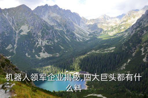 強(qiáng)生機(jī)器人,送剛出生的孕婦什么禮物好?