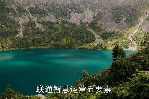 中國聯(lián)通大數(shù)據能力優(yōu)勢,聯(lián)通大數(shù)據介紹
