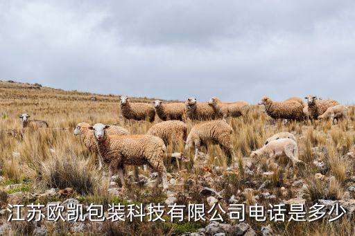包裝全自動(dòng)化設(shè)備公司電話,中國生產(chǎn)自動(dòng)化設(shè)備公司有哪些?