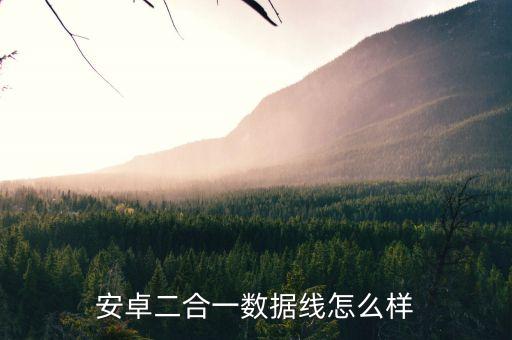 安卓二合一數(shù)據(jù)線(xiàn)怎么樣