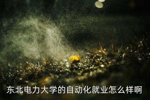 東北電力自動(dòng)化啥專業(yè),電力專業(yè)有哪些?