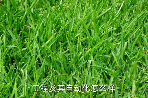丑永新電氣與自動化,電氣工程及其自動化怎么樣?