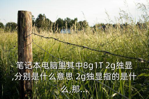 2g獨(dú)顯,2g獨(dú)顯和4g獨(dú)顯的區(qū)別