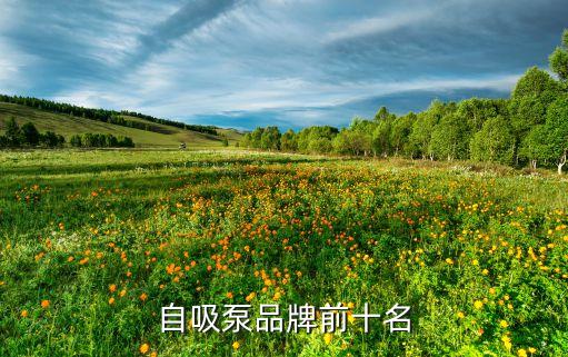 自吸泵品牌前十名
