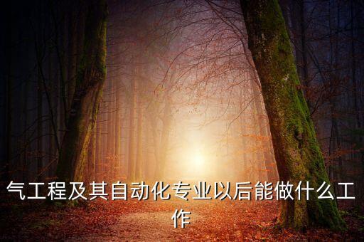氣工程及其自動(dòng)化專(zhuān)業(yè)以后能做什么工作