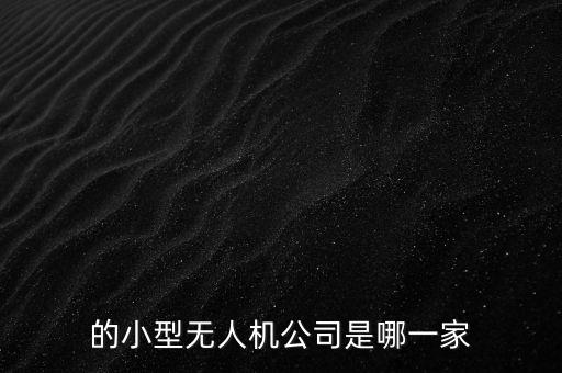 的小型無(wú)人機(jī)公司是哪一家